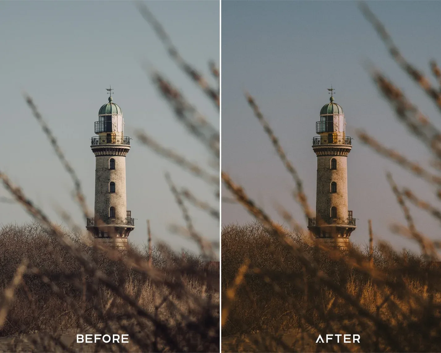 Kodak Portra Capture One Styles Collection — before and after example 1